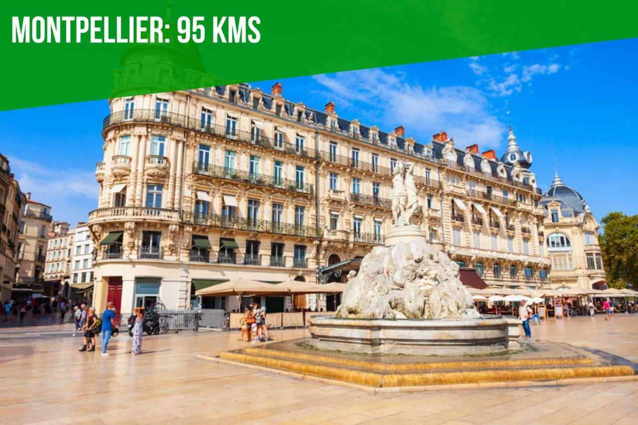 Au Coeur Des Platanes - Parking Gratuit Sous-Terrain - Clim - Balcon Apartment Avignon Bagian luar foto